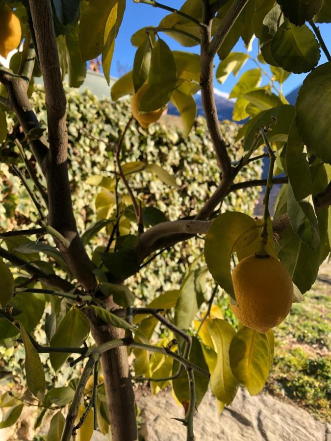 Agriturismo Cavria Castione Andevenno Eksteriør billede