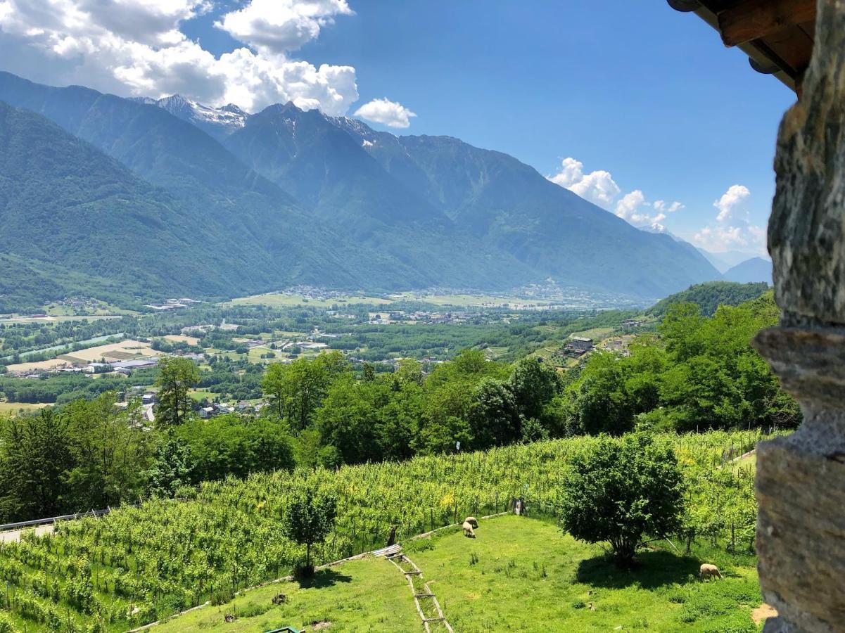 Agriturismo Cavria Castione Andevenno Eksteriør billede